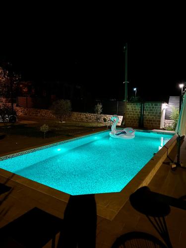a swimming pool at night with a swan in it at Green House in Virpazar
