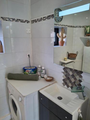 une cuisine avec une machine à laver et un évier dans l'établissement La Discrète, à Troyes