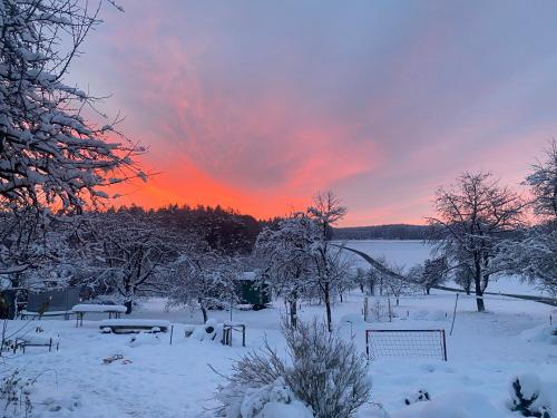 a snow covered field with trees and a sunset at Kleine Ferienwohnung auf dem Land, Haus Hans Stepha in Gößweinstein