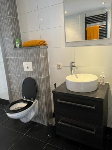 a bathroom with a toilet and a sink at Appartement aan het water in Alkmaar