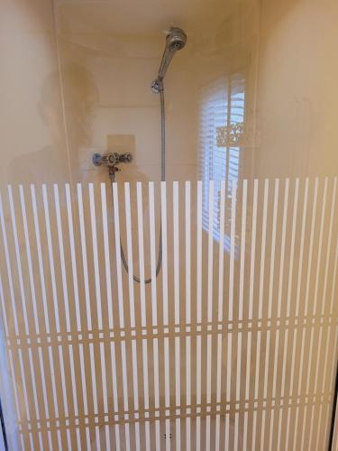a bathroom with a shower in a room at Sítio da Cornucópia Home Mobile in Moncarapacho