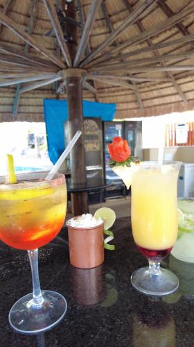 three cocktails sitting on a table in a restaurant at Vinhedo Plaza Hotel in Vinhedo
