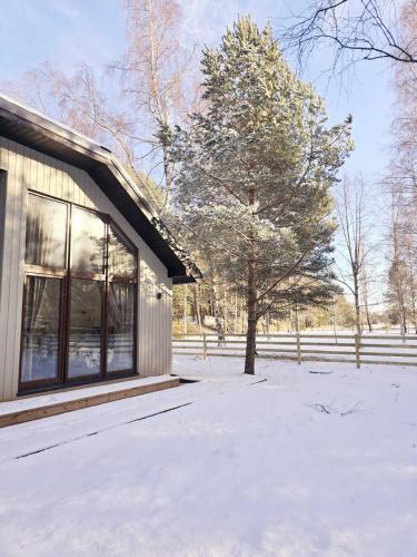 Lazy House Latvia en invierno