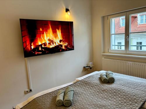 Gallery image of Harmony Living Apartment Graz Zentrum in Graz