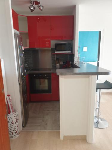 une cuisine avec des armoires rouges et un comptoir dans l'établissement Il Leone di Cecilia, à Antibes