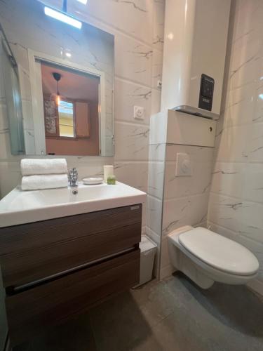 une salle de bain avec un lavabo, des toilettes et un miroir dans l'établissement La cour du centre Nice Verde, à Nice
