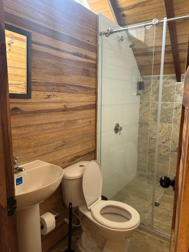 a bathroom with a toilet and a sink and a shower at El portal de Bariloche in Ibagué