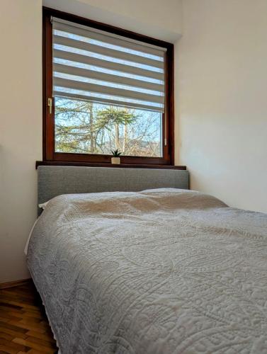 a bedroom with a bed in front of a window at Apartman Karingtonka free parking in Vranje