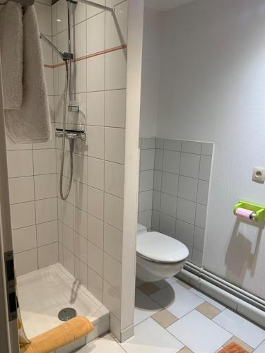 une salle de bain avec toilettes et douche dans l'établissement Gite Chez Joséphine - La chambre du Clocher, à Dambach-la-Ville