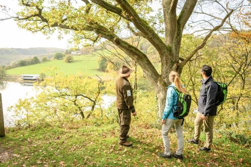 a group of people standing around a tree near a lake at Exklusive Cabins am Rursee inmitten der Natur – mlab relax Eifel in Simmerath