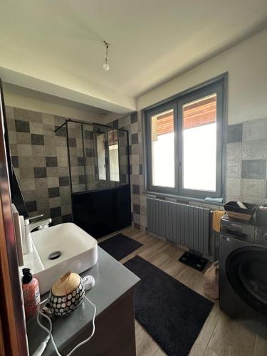 une salle de bain avec un lavabo et une machine à laver dans l'établissement Audrey Todor, à Truison