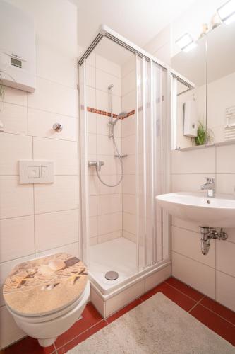 a bathroom with a shower and a toilet and a sink at Waldperle in Altenau
