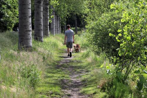 a man walking a dog on a dirt trail at Gastenkamers Boussemaere in Ichtegem