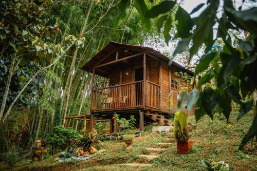 ein Baumhaus mitten im Wald in der Unterkunft Ecoturismo BRISAS DÉ LA RESERVA in Jiguales