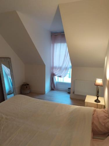 une chambre avec un lit et une fenêtre dans l'établissement 10 min du Circuit 24h du MANS - Grandes chambres très confortables dans maison récente et jardin !, à Fillé