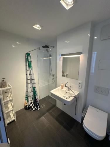 a bathroom with a sink and a shower and a toilet at Al Nafurah Apartments in Munich