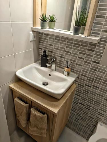 a bathroom with a sink and some plants on a shelf at Casa Mirighì in Padova