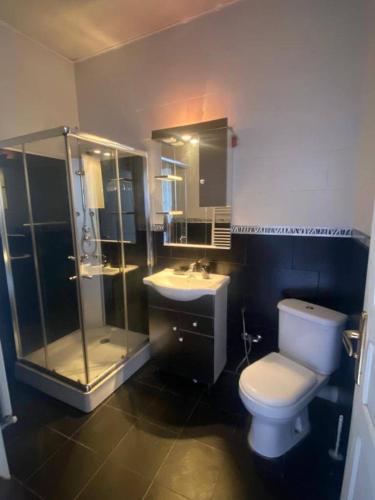 a bathroom with a toilet and a shower and a sink at La belle vue in Bologuine Ibnou Ziri