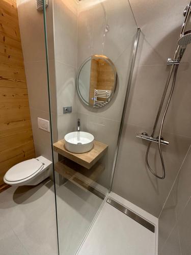 a bathroom with a shower and a toilet and a mirror at Le Cro-Bidou in Bernex