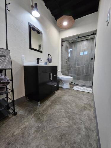 a bathroom with a sink and a toilet and a shower at Relaxed and private in Jiquilpan de Juárez