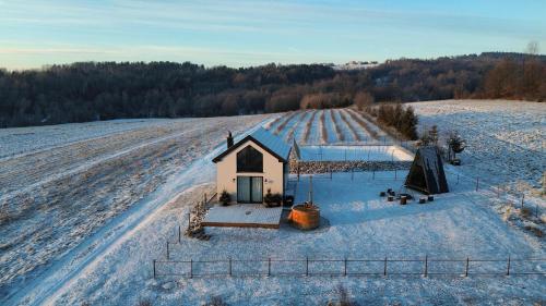 an aerial view of a small church in a snowy field at Gospodarstwo Agroturystyczne Borówkowy Bukiet Smaków in Iwkowa