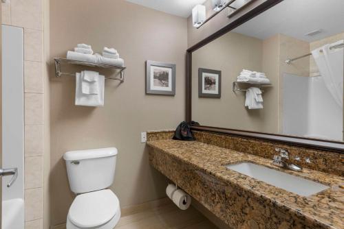 a bathroom with a sink and a toilet and a mirror at Best Western Plus Fernie Mountain Lodge in Fernie