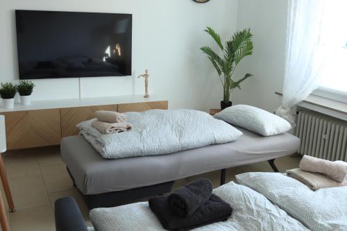 a room with two beds and a tv on the wall at Agethen Oase - Blauer Delfin in Rietberg