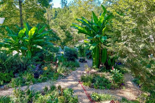 a garden with many different plants and trees at Walk to Downtown Pet-Friendly Cottage in Tyron in Tryon