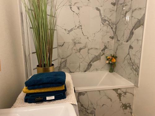 une salle de bain avec toilettes, baignoire et lavabo dans l'établissement Appart lumineux et spacieux au centre-ville de Lyon, à Lyon