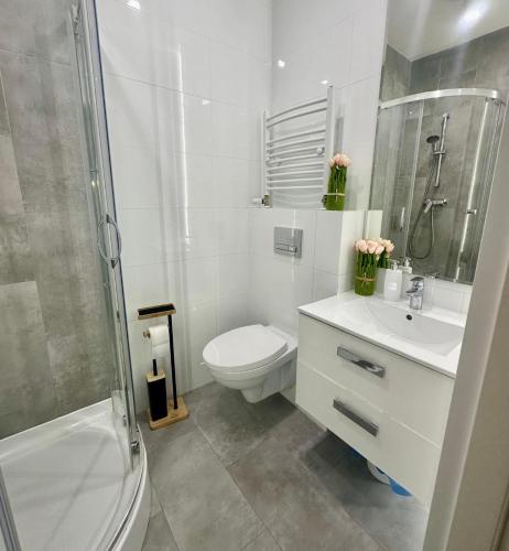 a bathroom with a toilet and a sink and a shower at Exclusive Apartments Smolna in Warsaw