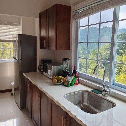 a kitchen with a sink and a counter top at Gorgeous 1 Bedroom Apartment in the Kingston Hills in Kingston