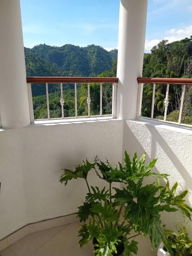 a balcony with two windows and a plant at Gorgeous 1 Bedroom Apartment in the Kingston Hills in Kingston