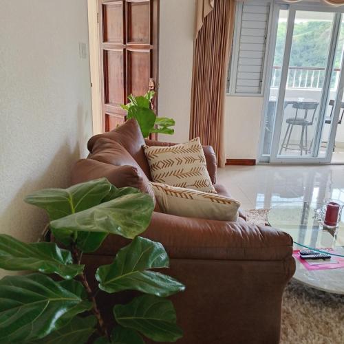 a brown leather couch in a living room with a plant at Gorgeous 1 Bedroom Apartment in the Kingston Hills in Kingston