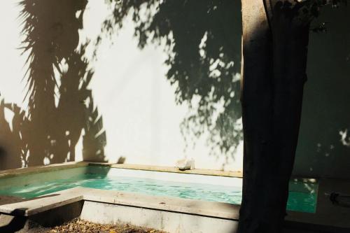 a swimming pool with a shadow of a tree at Pool & Garden Apt In the Heart of Lisbon in Lisbon
