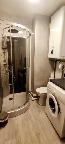 une salle de bain avec douche et machine à laver dans l'établissement Le studio de la Gare, à Dax