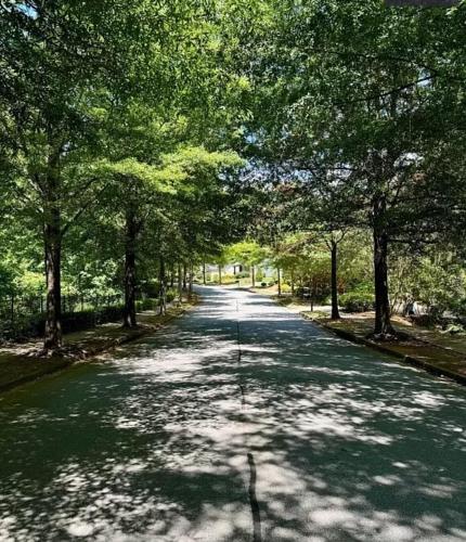 a tree lined road with trees on either side at 8 min to UGA NEW Lake Loft Apt near downtown Athens at UGA free wifi and coffee in Athens