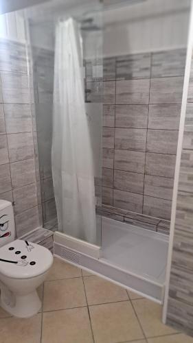 a bathroom with a shower and a toilet and a tub at Maison Girondine 4 personnes in Saint-Seurin-de-Bourg