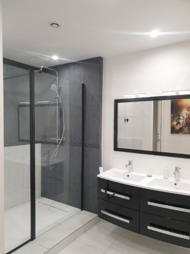 une salle de bain avec une douche, un lavabo et un miroir dans l'établissement Welcome Villa 8p moderne Terrasse Jacuzzi Jardin, à LʼHay-les-Roses