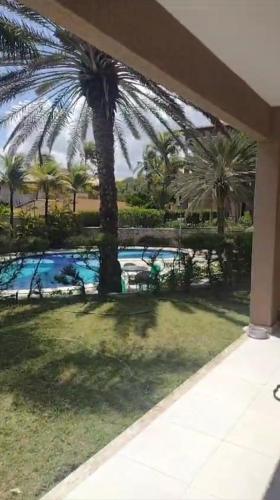 a view of a palm tree and a swimming pool at Laguna verde residence in Aquiraz