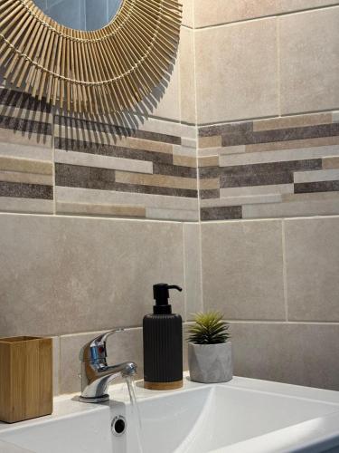 un lavabo de salle de bain avec un distributeur de savon dessus dans l'établissement Le Canard du Berry - Wifi - Centre Ville, à Bourges