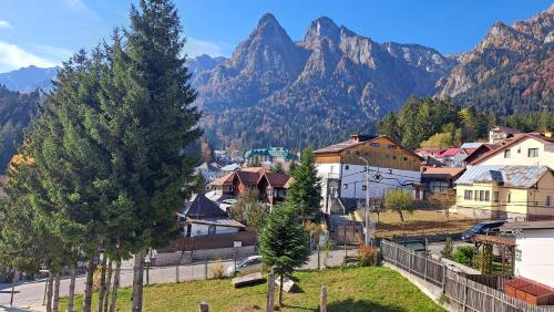a town with a tree and mountains in the background at Vila PANORAMIC Busteni in Buşteni