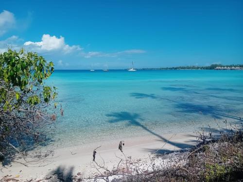 Rangiroa Te Manuia Lodge, hébergement à Rangiroa