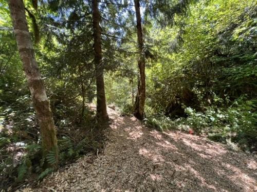 a wooded area with trees and a dirt trail at M-Hill Lodge Stevenson 98 in Stevenson