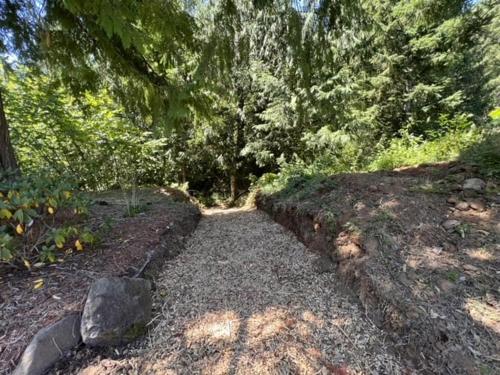a path in the middle of a forest with trees at M-Hill Lodge Stevenson 98 in Stevenson