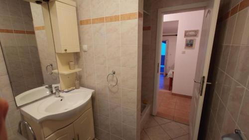 une salle de bain avec lavabo et douche dans l'établissement Apartment Relax, à Mandre