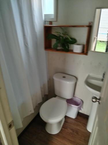 a bathroom with a white toilet and a sink at Refugio Pradera del Sur in Llanquihue
