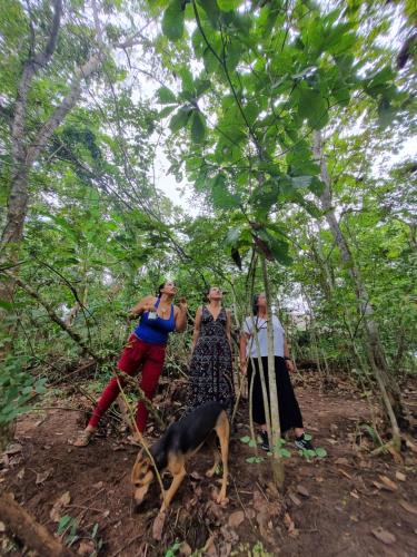 Fotografie z fotogalerie ubytování Casa Surya Naturaleza y Bienestar v destinaci San Onofre