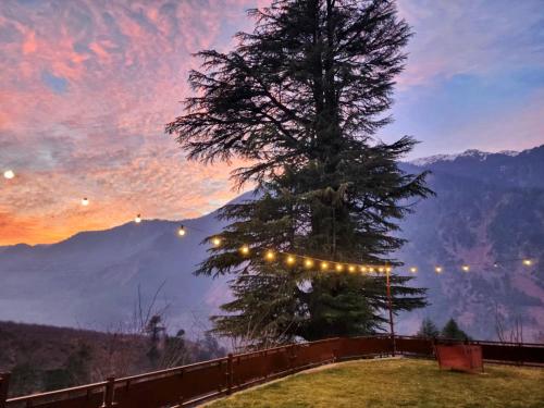 a christmas tree with lights on top of a hill at Hygge Home Manali in Manāli