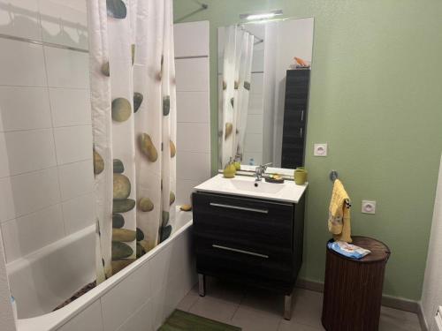 une salle de bain avec un lavabo et une douche dans l'établissement Appart cosy Marseille, à Marseille