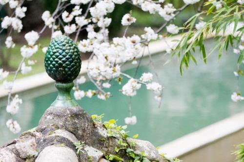 Photo de la galerie de l'établissement Elegant Town house-sleeps 14, à Saint-Hippolyte-du-Fort